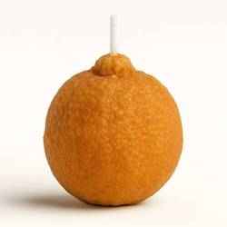ORANGE - CANDLE / CANDLE