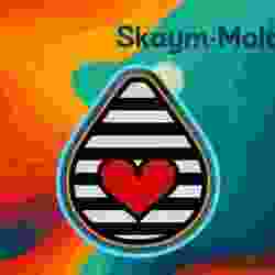 ❤️🖤 Striped Heart Mold – Freshie, Resin & Candle Mold