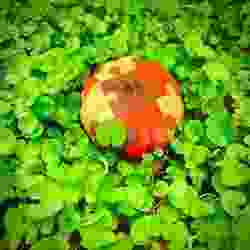 🎃🧩 Halloween Pumpkin Puzzle – 3D Print Fun, No AMS Needed! 🧡👻