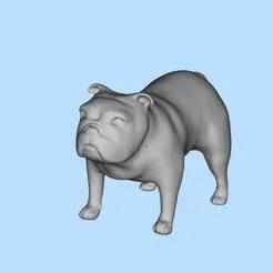 30 French Bulldog Pet Supplies Miniature Scene Model