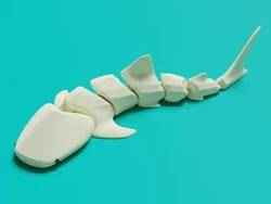 Articulated Skeleton Hand