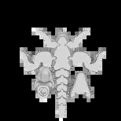 Awesome Flexi Articulated TRex For 3D Toy.