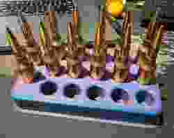 Barrel thread protector (Borden)