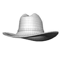 Basic Texas Cowboy Hat 3D  OBJ file for printing