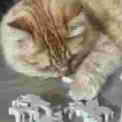 Battle of Mount Olympus