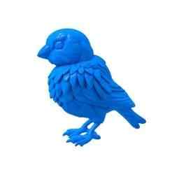 bird / sparrow /  birdcore / bird aesthetic / bird lover / forest cult / sky aesthetic / mystical bird / bird spirit / avian theme / wild aesthetic