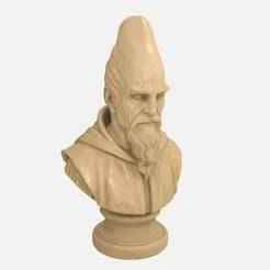 Bust of Jedi Master Ki-Adi-Mundi