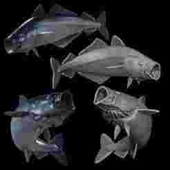 COALFISH / POLLACHIUS VIRENS open mouth in motion fish model for 3D printing