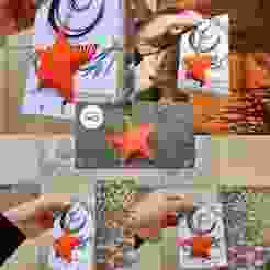 Conicet Argentina Key Ring Star Culona Star