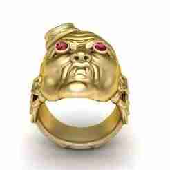“Demon Guardian Ring”