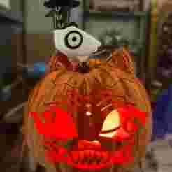 Derpy Pumpkin kpopDH