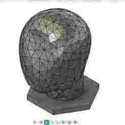 Doll head Stender Pupe Pattern head Schender Capen stender Model head Model head