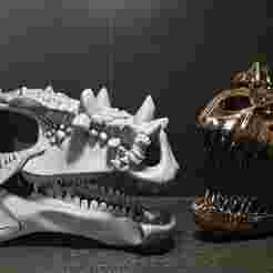 Dracorex
