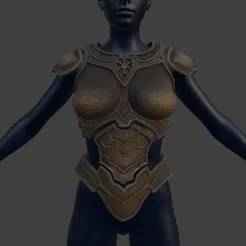 Female Predator Armor Set