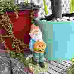 Garden Gnome with Pumpkin