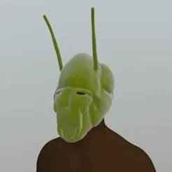 Grasshopper mask
