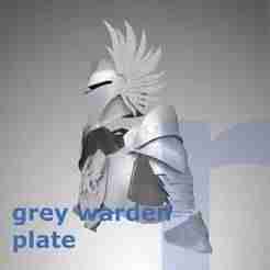 Grey Warden Plate Armor