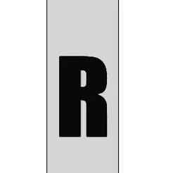 Keychain Car License Plate Letter R