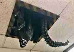 Kids play kitchen bowl, spatula, and pot