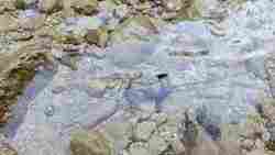 LWC Meshtastic "BEACON" rugged, waterproof**  GPS outdoor node