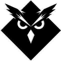 owl face inside a geometric diamond - 2D/3D Wall Art STL+SVG For CNC Router, Plasma, Waterjet, Laser & 3D Printer