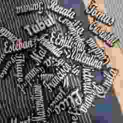 personalized name keychain,romina,renato,renata,renata,rodrigo,maximiliano,matias,martin