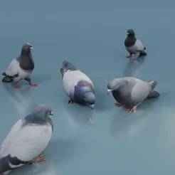 Pigeons in 6 poses, optimized for 1/12 scale