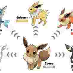 Pokemon Evolution Eevee Headband