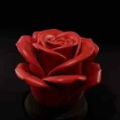 Rose candle mold /Rose candle mold