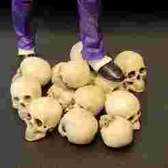 Skull in 7inch and 6inch scale