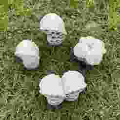 Spooky Alien Fungi Plant SET Natural Terrain Miniature Kitbash