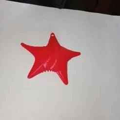 Starfish Star Conicet Conicet MDQ culona Patricio