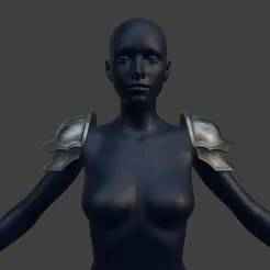 Steel Knight Shoulder Pauldrons