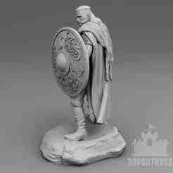 Viking with a shield