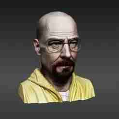 Walter White bust - Breaking Bad