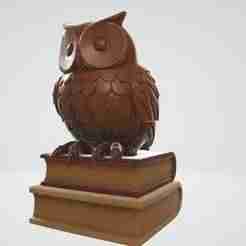 Wise Owl on Books