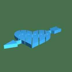 flexi heart