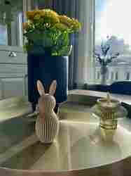 Göz Kamaştırıcı Tavşan Dekoru