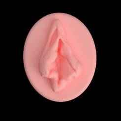 3D Realistic Pussy Art (15) Wall Art - No Supports