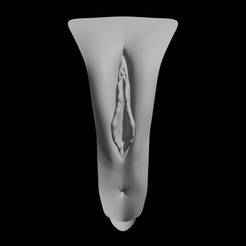 Enlarged vulva and anus 3D model for editing and printing
