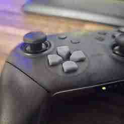 Nintendo Switch Pro Controller Split D-Pad
