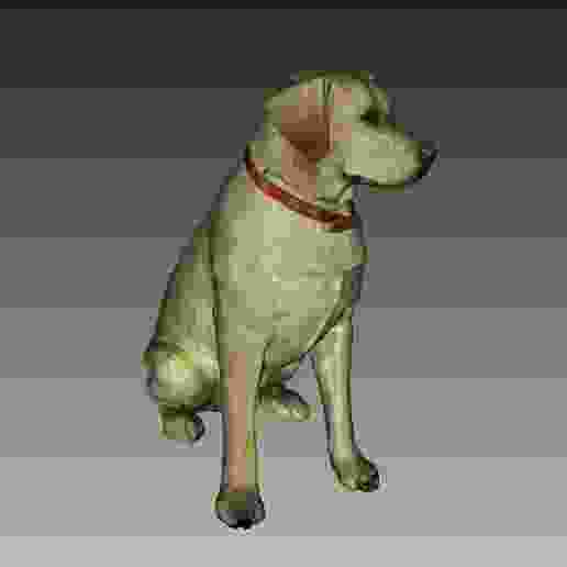 Labrador Sculpture (Dog Statue Color 3D Scan)