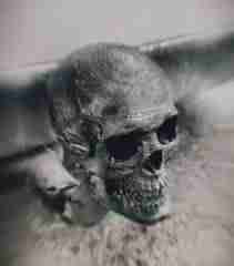 Bicycle adapter/reduction