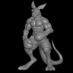 3d model boxer kangaroo model