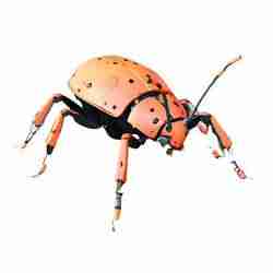 Ladybug Robot Critter
