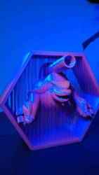 Askıya alınmış MegaBlastoise