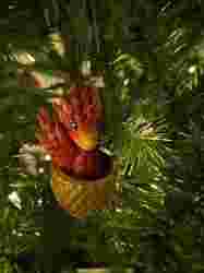 Bebek Ejderha Yumurtası Noel Koleksiyonu