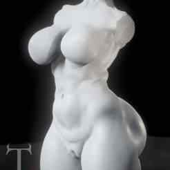 Dynamic Female Torso