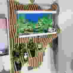 Parametric Aquarium & Wine Rack Display Wall Mounted