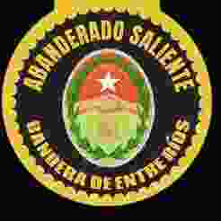 standard bearers and escort medals